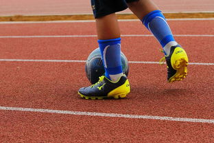 九游9游-NBA球员训练营最新发展动态，nba球员日常训练项目