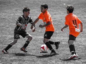 JIUYOU GAMING-NBA球员训练营活动，nba球员训练营活动安排