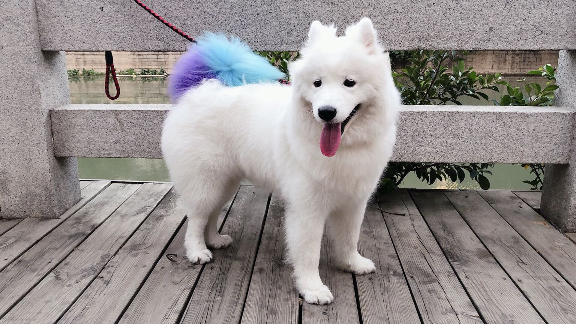 中超俱乐部是否需要绩效考核机制,中超各俱乐部一年投入