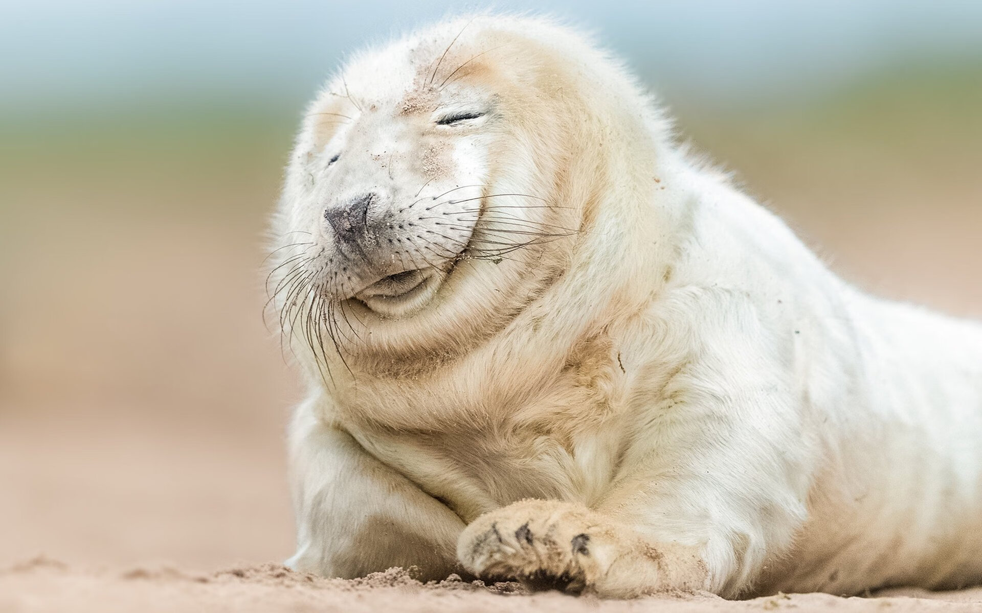 九游正版入口-体育新闻中心构建开放共享体育新闻创新平台，体育新闻报道