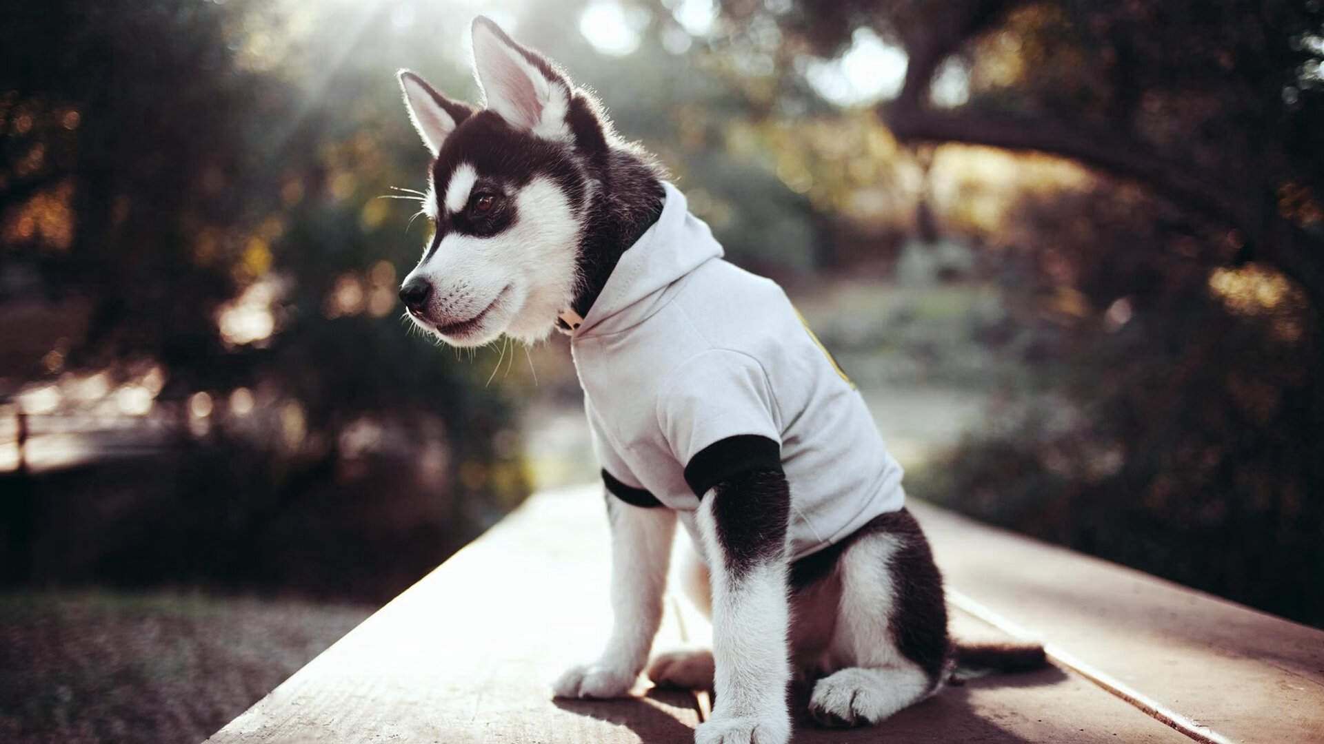 体育职业教育改革试点全面推行模块化教学,体育职业教育改革试点全面推行模块化教学的意义